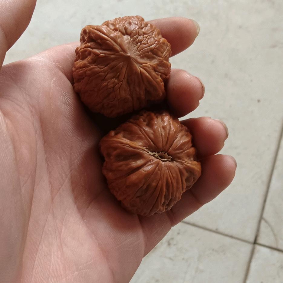 想做啥就做啥