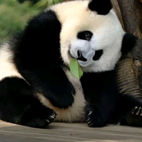 刘尽岁月