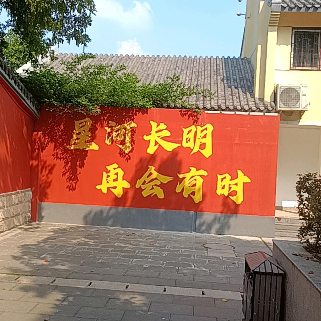尘缘2025
