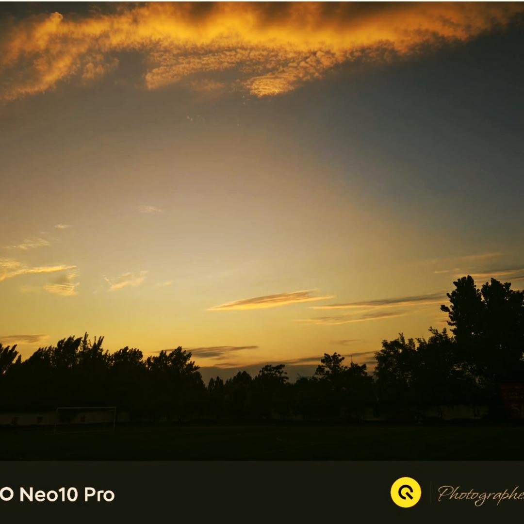 叱咤月海鱼鱼猫