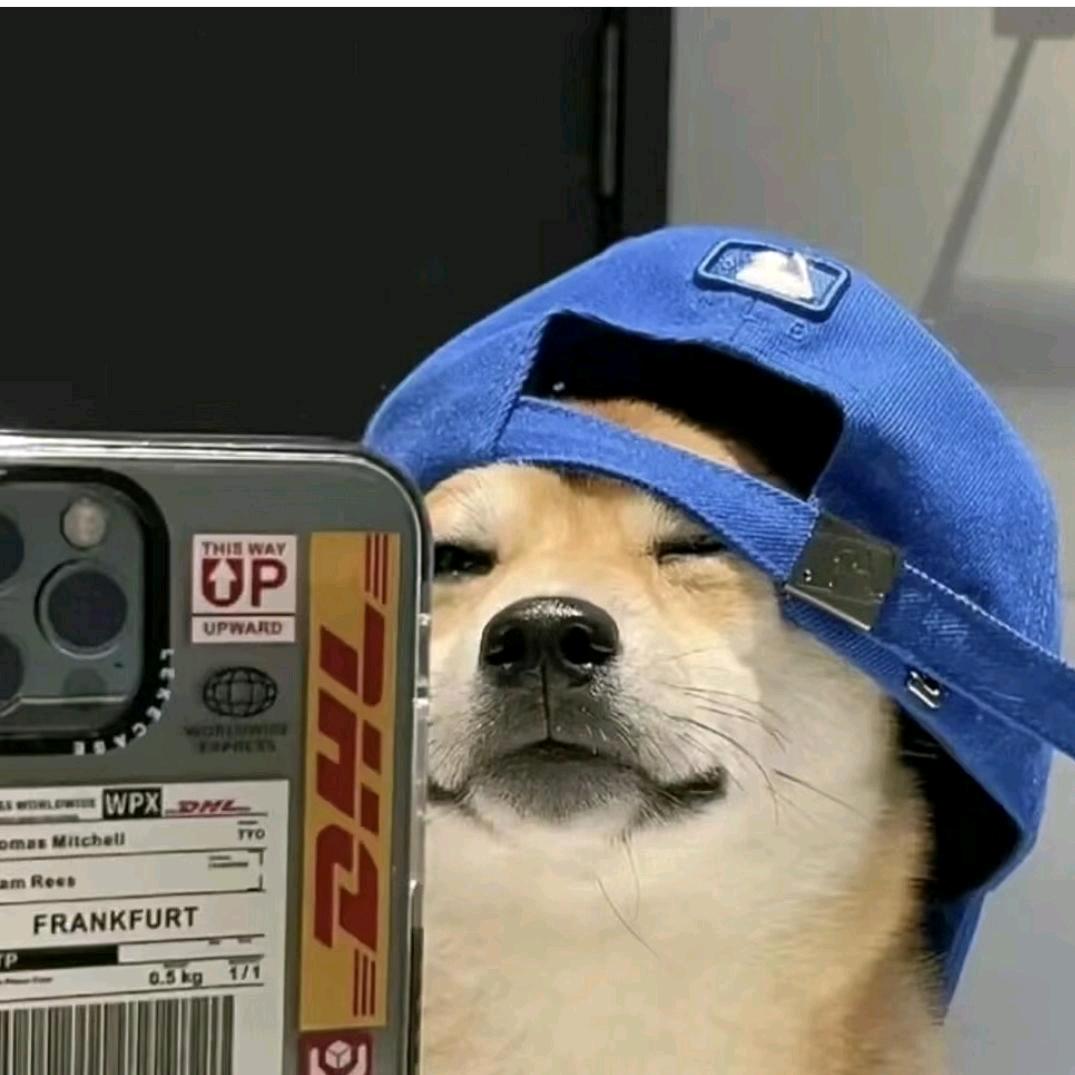 崽崽记录片传奇