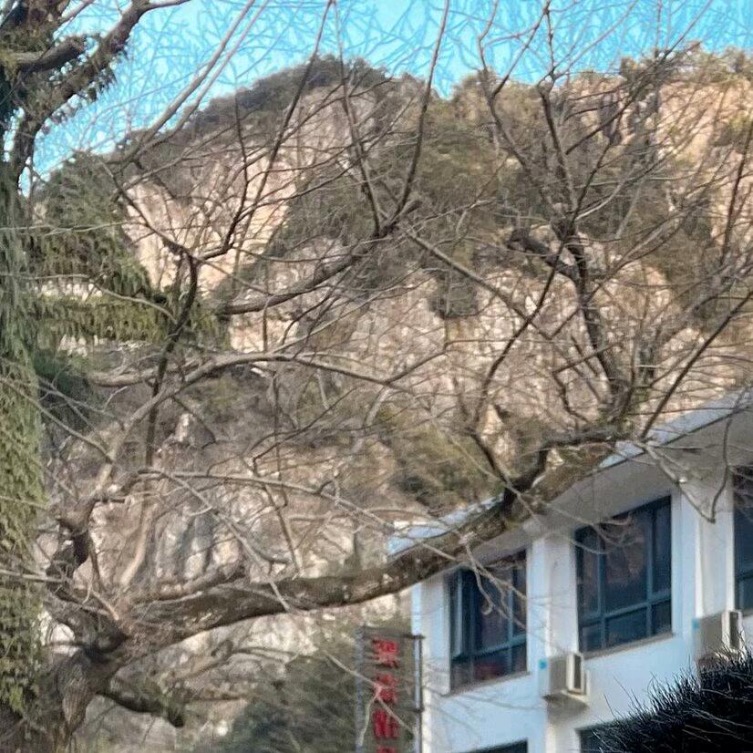 白白的白