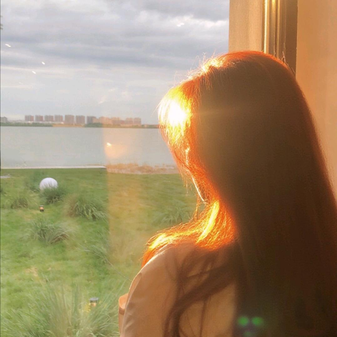 宝藏藏✨