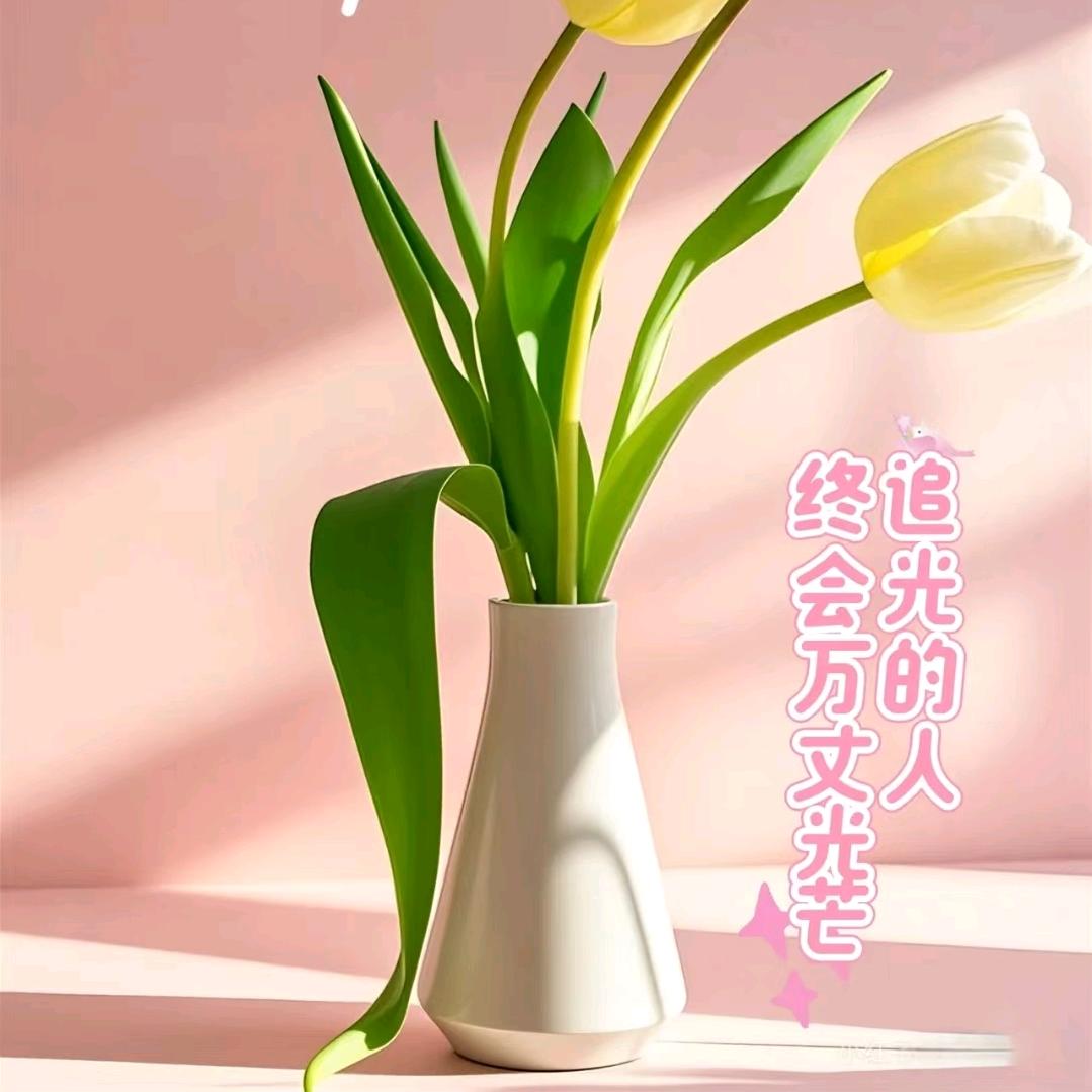 佳佳！！！