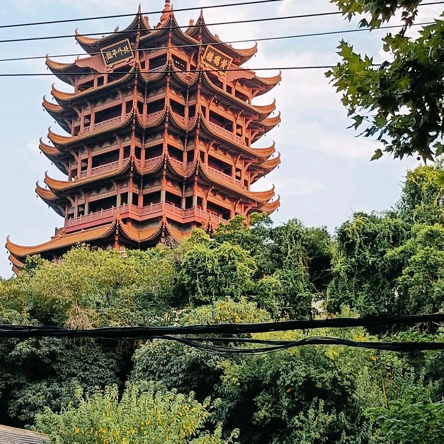 我爱我家（飘逸）