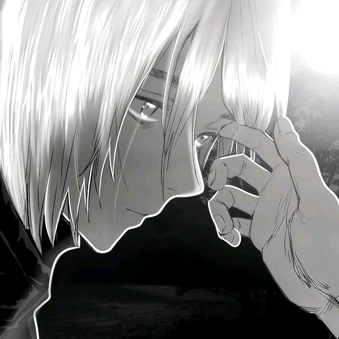 cn芝士卷