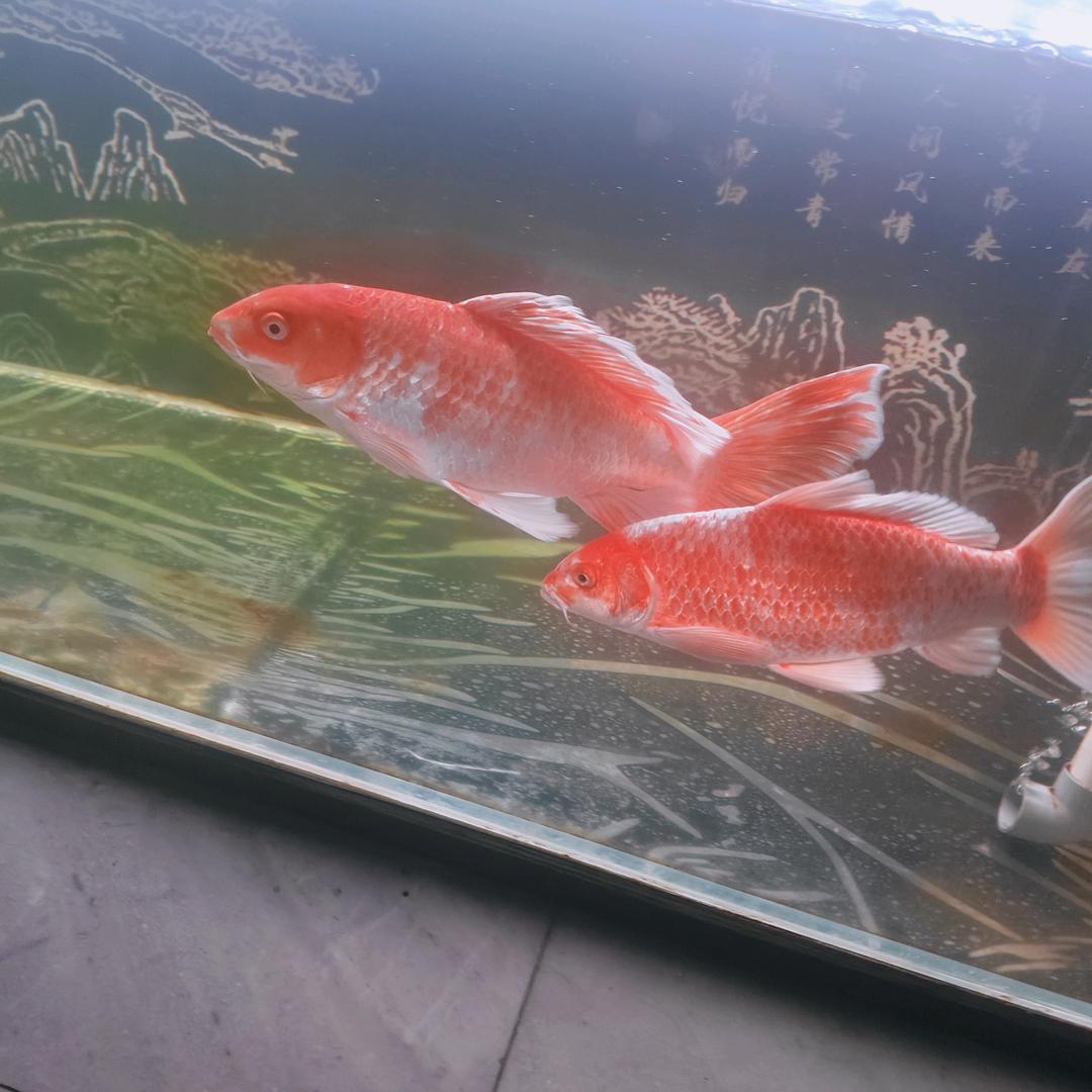 🌈时间说实话🌈