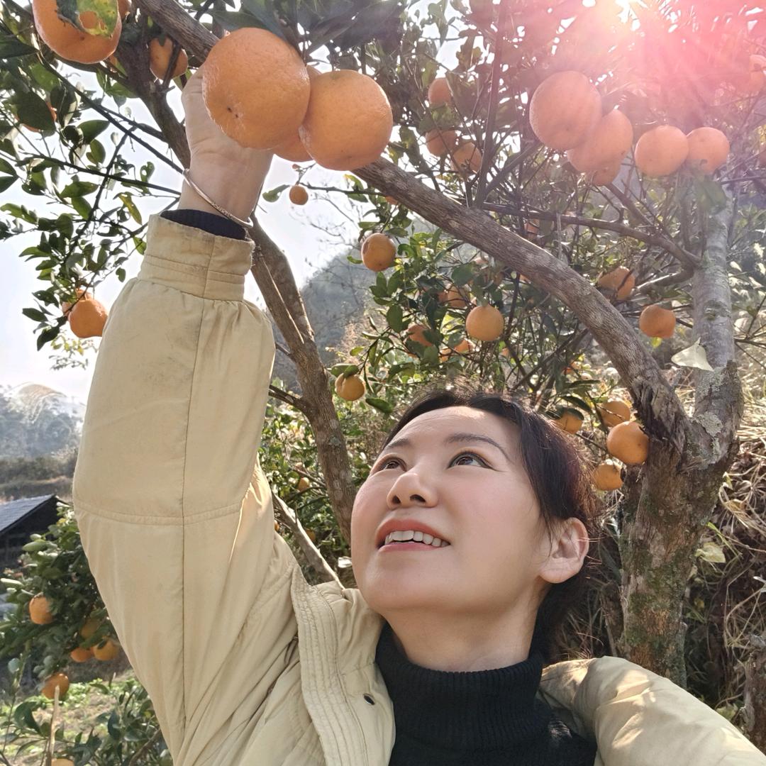 时光里的曼陀罗