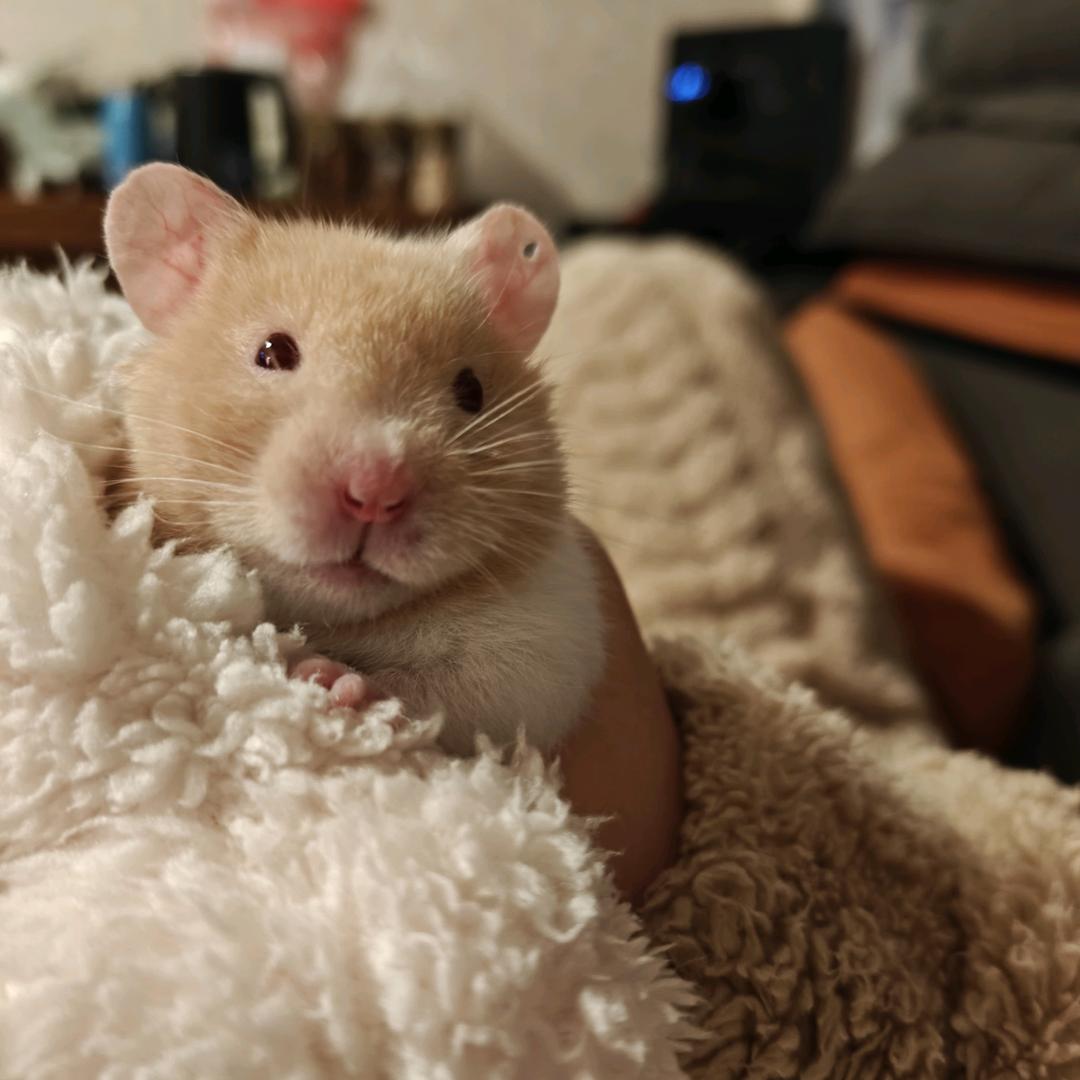 🌈🌈x。米🌈🌈