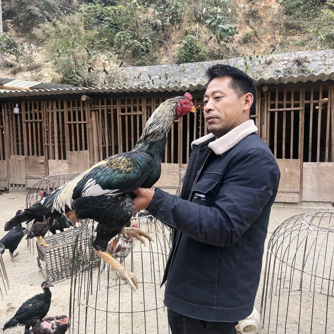 榕江县欧先生养殖场