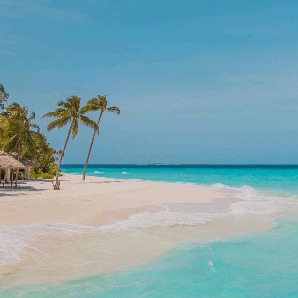 岳来越好，感谢关注！