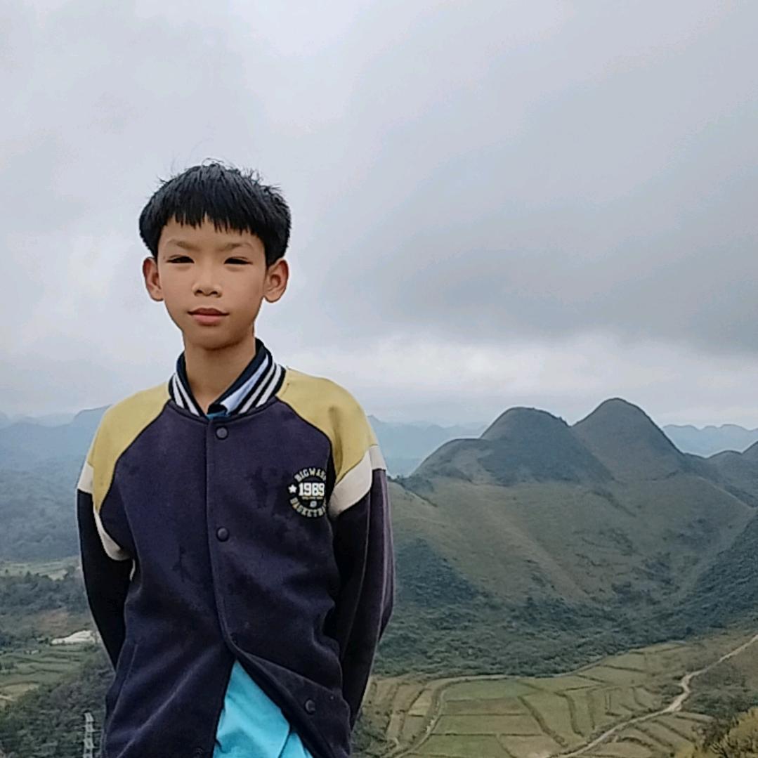 草色遥看近却无