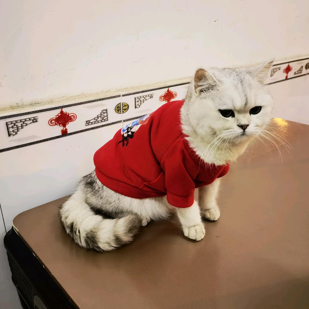 侬好