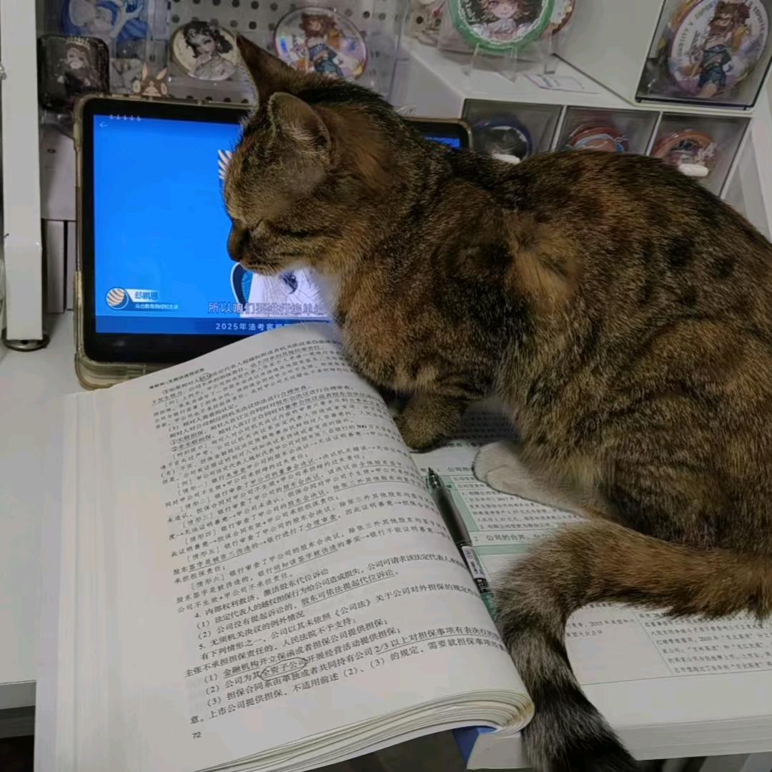 山海有雾楼观月