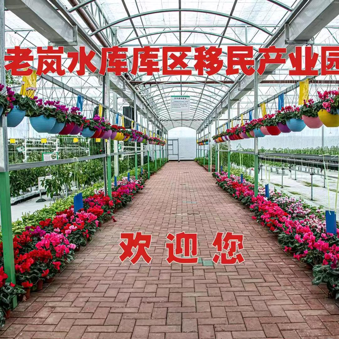 老岚水库库区移民产业园