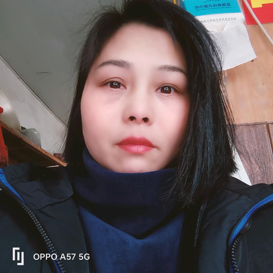 包菜1
