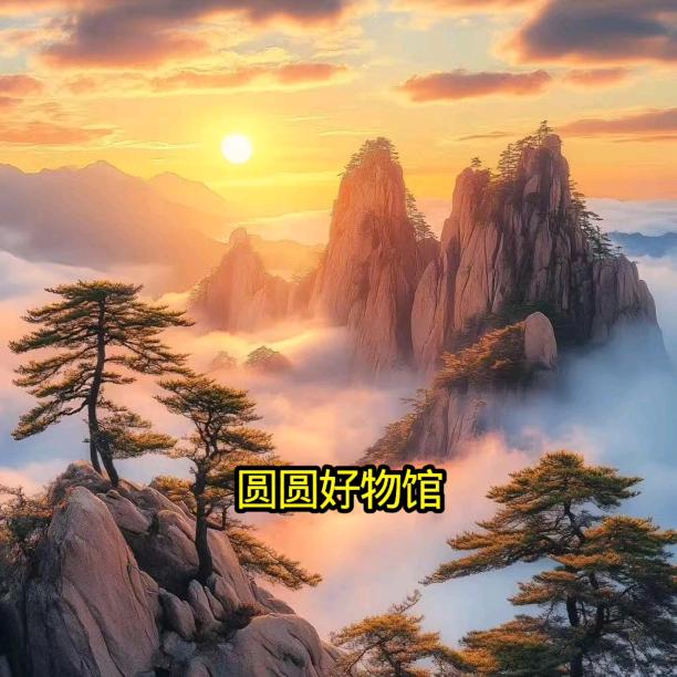 圆圆好物馆