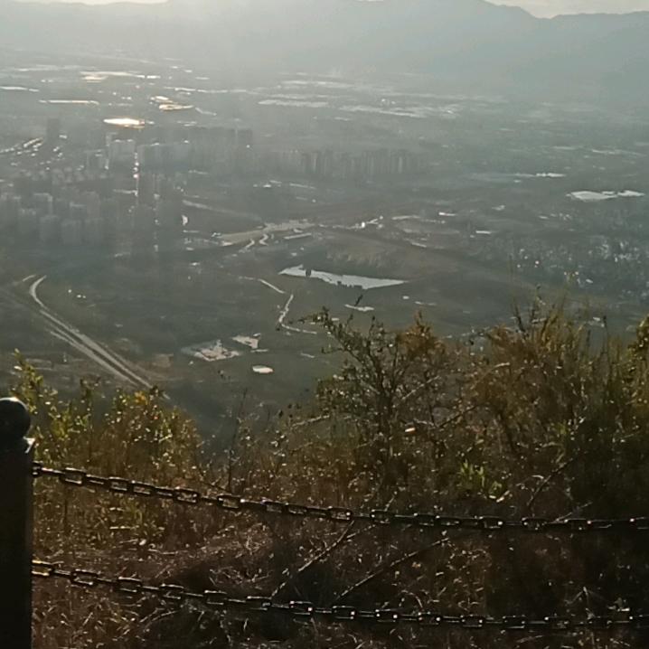 嗨