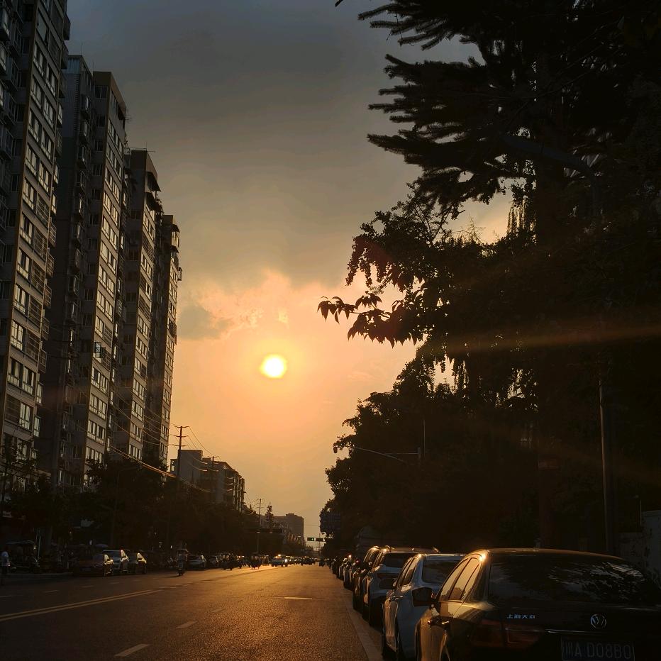 无欲无求应何为