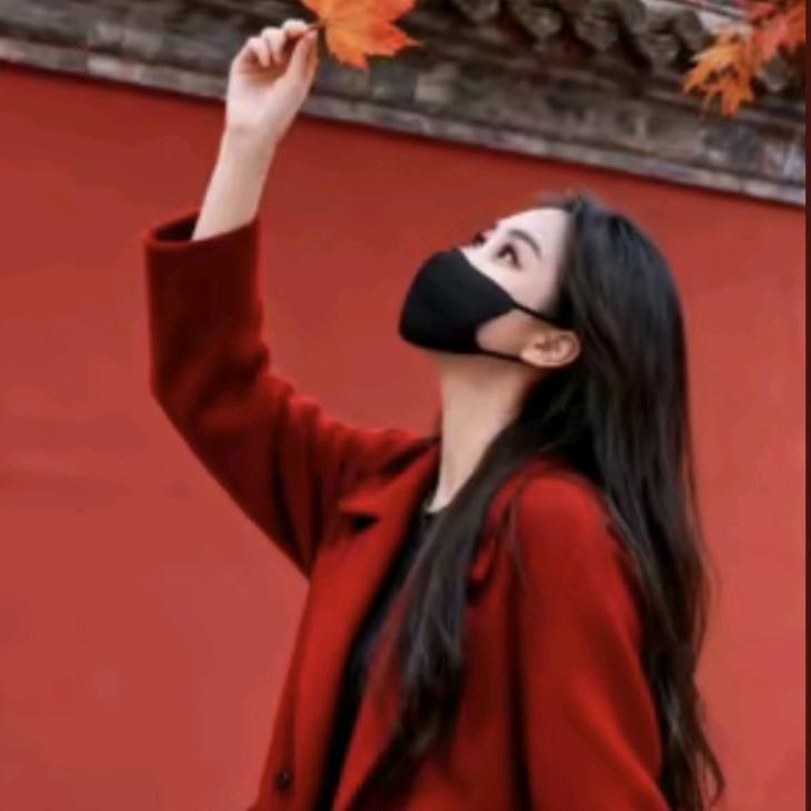 桃花岛（与你 & 于我 )