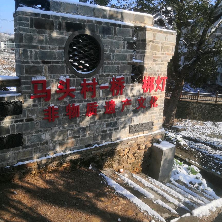 马头村药材育苗追梦书记