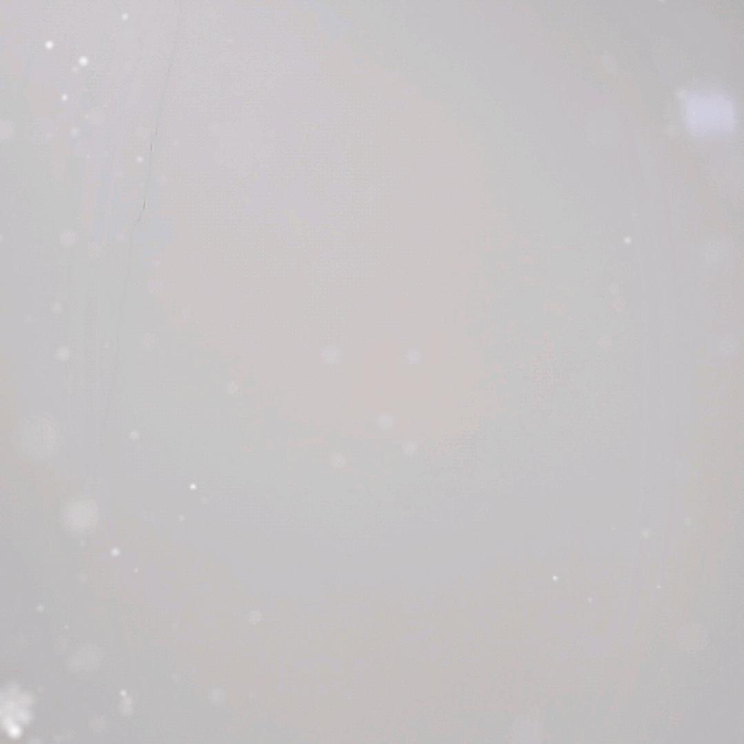 阿谢