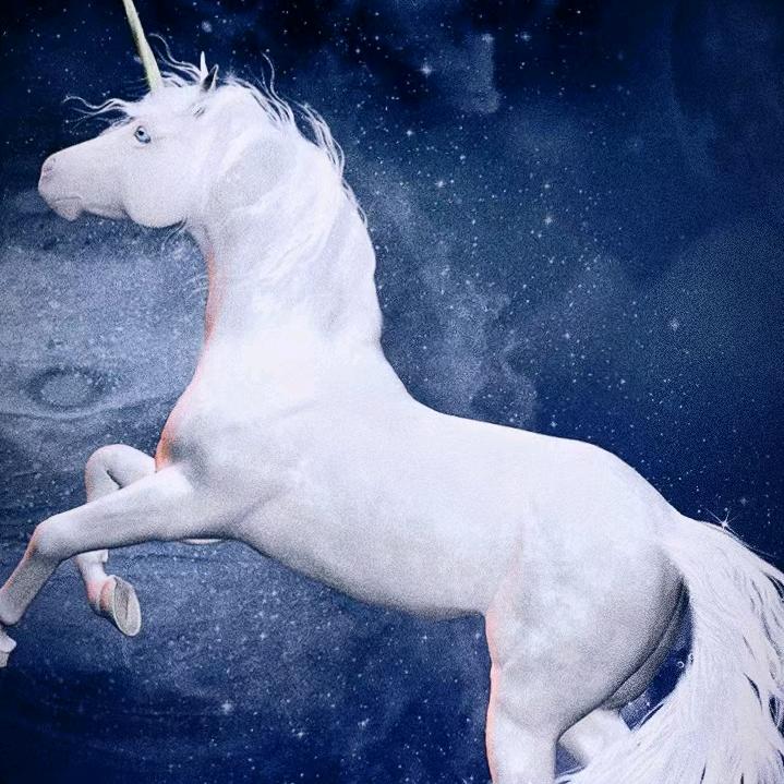 一生有你有我
