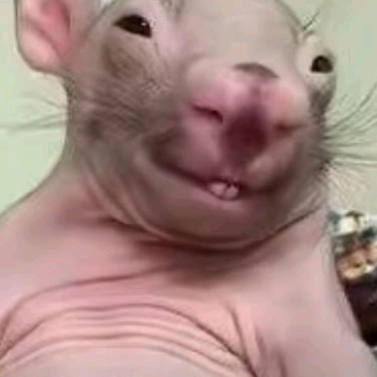 瑞福德