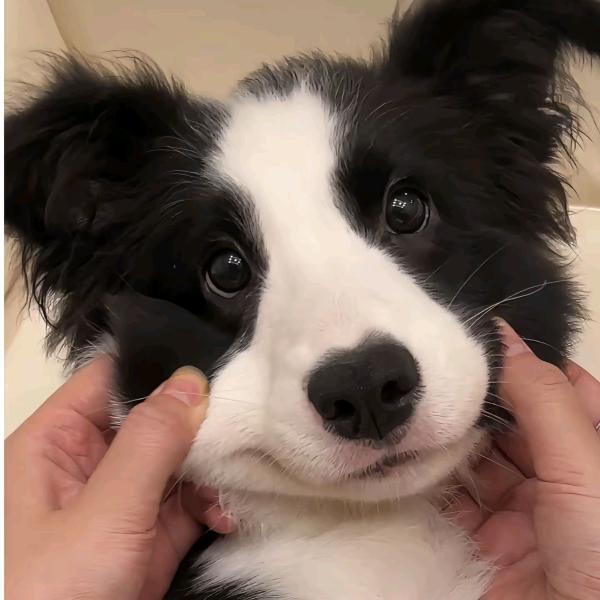 小学生变大学生