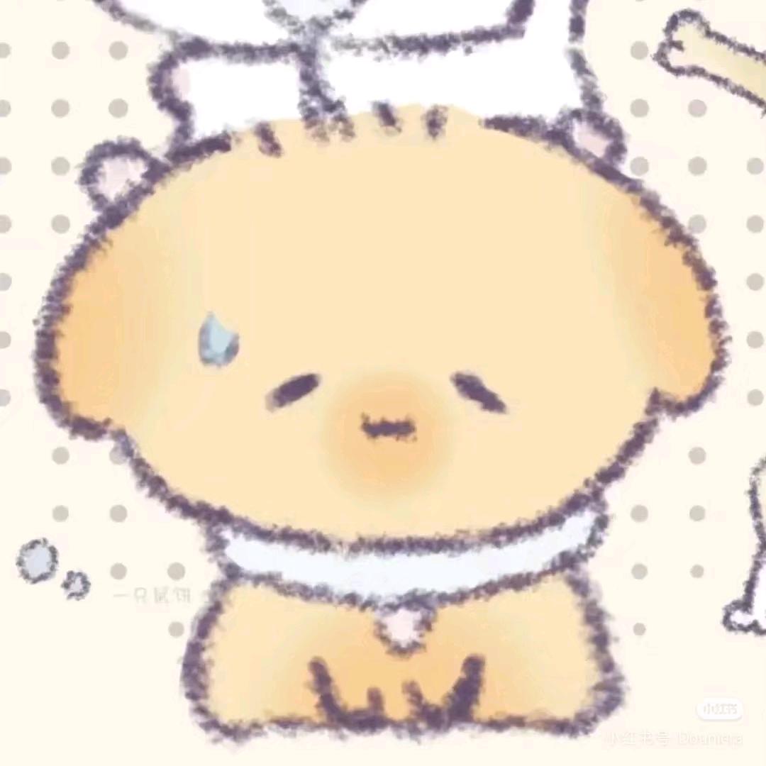 影子💫
