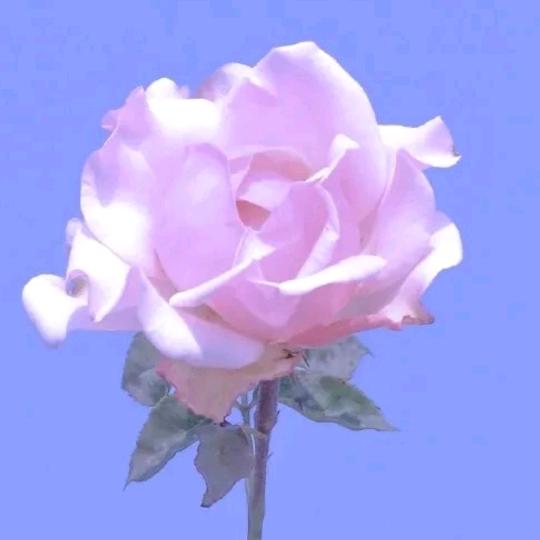 用❤️过好每一天