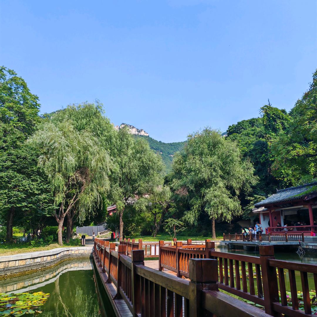 阿凡达     　　　　　　　　   ༽