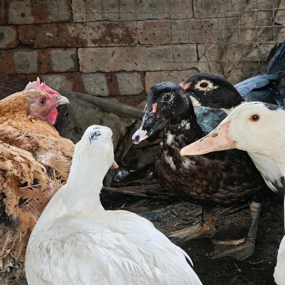 普通市民朋友的朋友圈