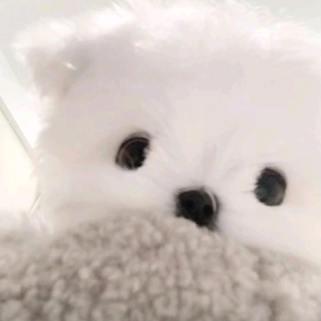 明末春秋