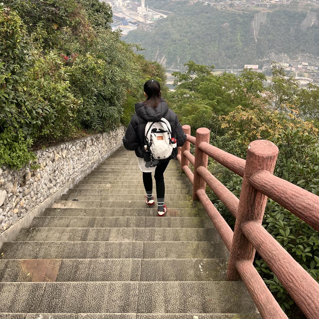 吴🍀烦🌲恼☘️