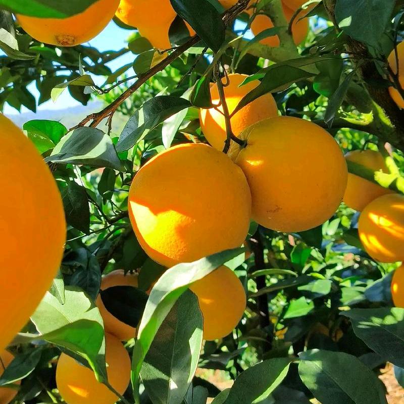 ღ᭄520余生꧔ꦿ᭄勿扰꧔᭄