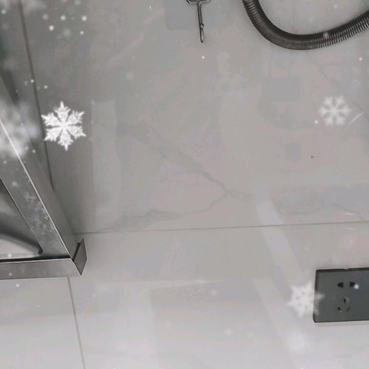 一生爱一人