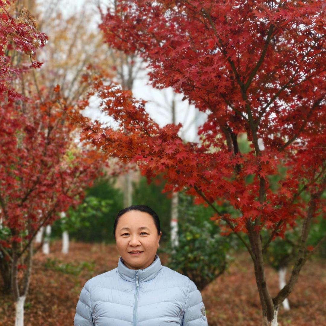 高香云