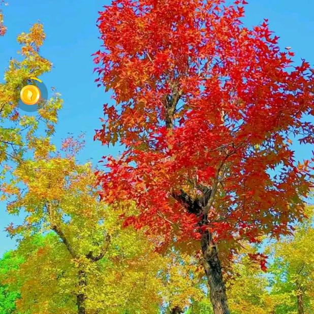 🎋财💞源🎋广💞进🎋