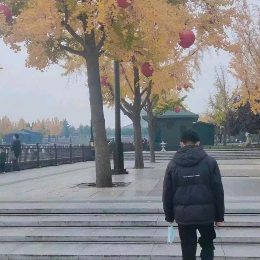 歪东
