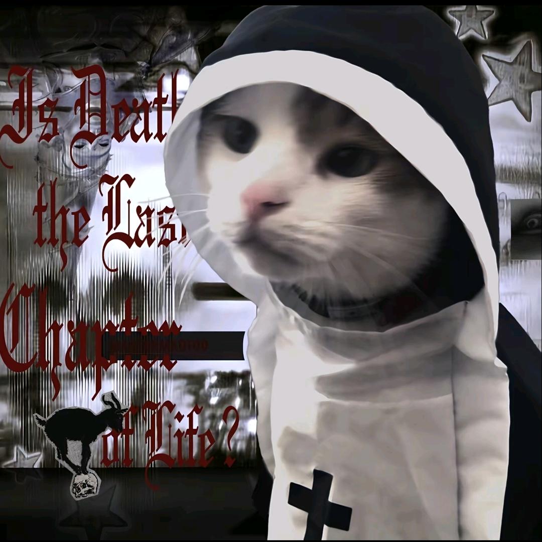 ⁺✝️✞ʚ哈基米重度哈气ɞ✟✝️₊