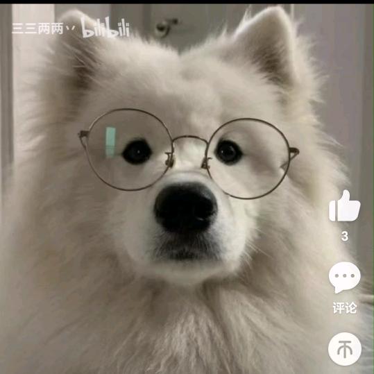 吃好喝好不想家