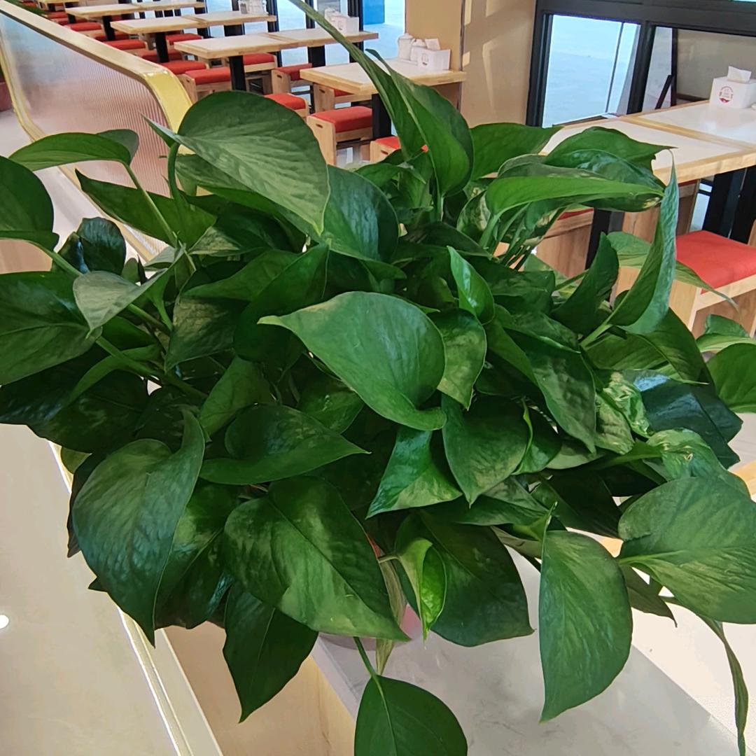 穆宴1916手工牛肉面太仓形象店