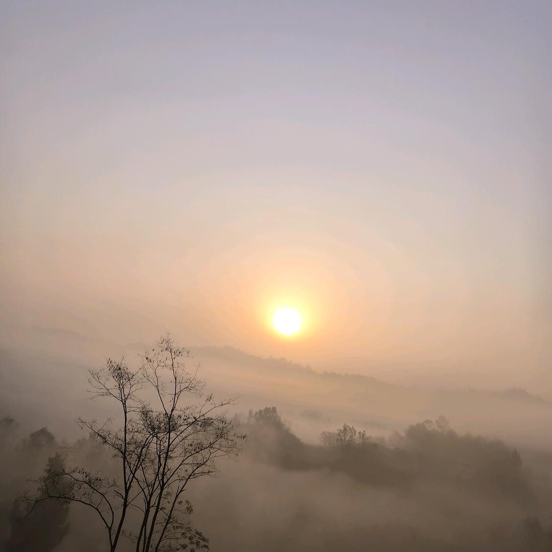 海阔天空🌺🌺🌺