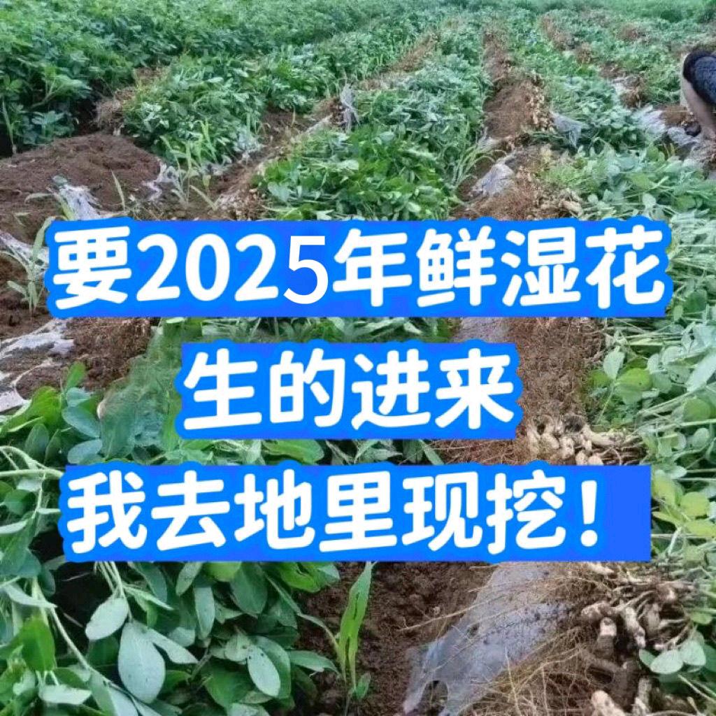 月月家乡的农产品