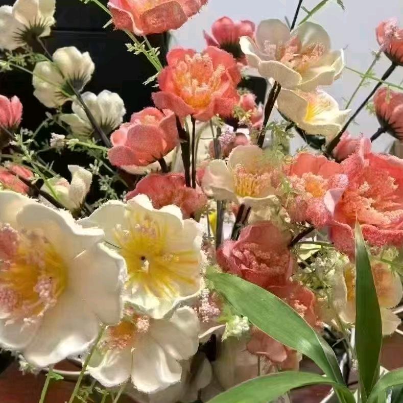 阳妹儿