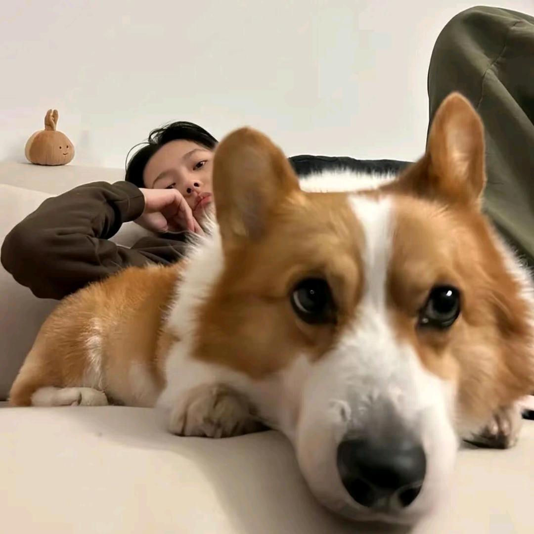吱吱大王oOoO