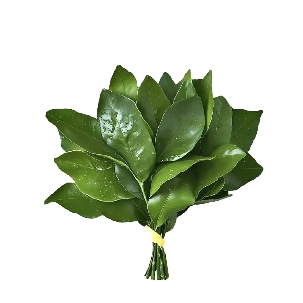 小鱼