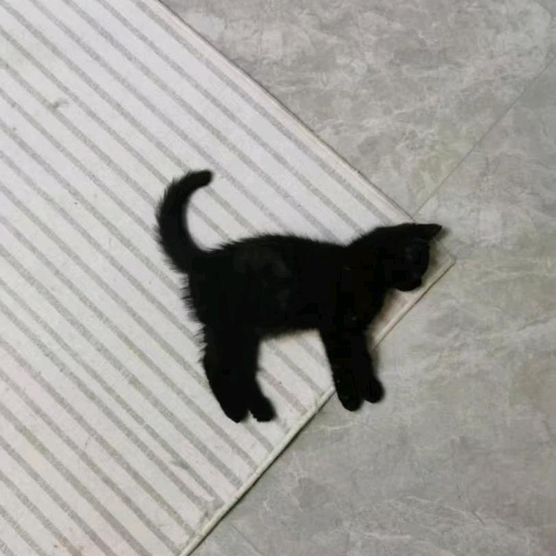 你是否有很多问号