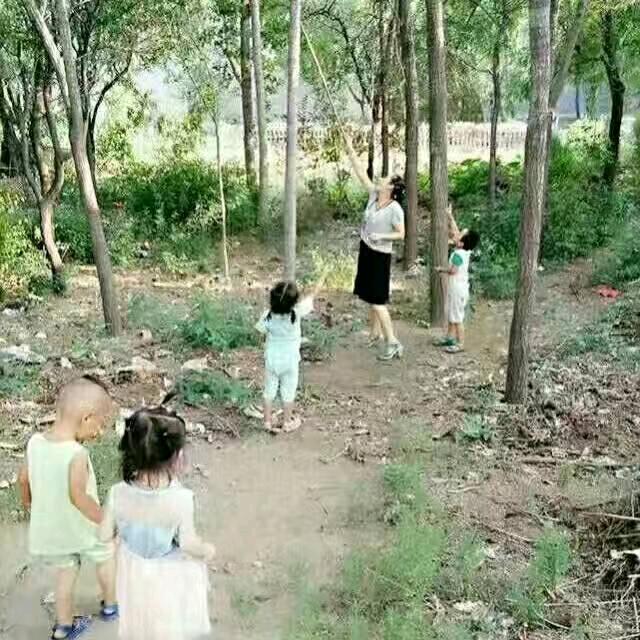 小蕾